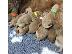 PoulaTo: Κουτάβια Goldendoodle